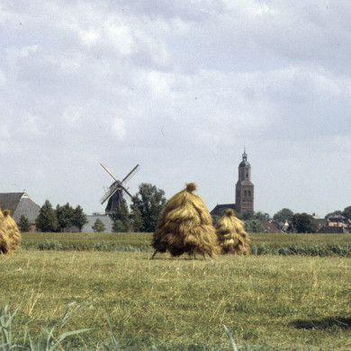 Rijksdienst voor het Cultureel Erfgoed