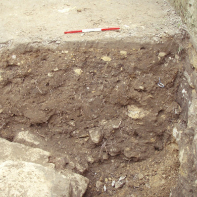 Rijksdienst voor het Cultureel Erfgoed