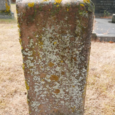 Rijksdienst voor het Cultureel Erfgoed: Dolfin, M. en Erkelens, M.