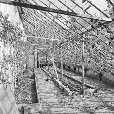 Rijksdienst voor het Cultureel Erfgoed: Galen, P. van