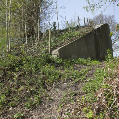 Rijksdienst voor het Cultureel Erfgoed: Booms, C.S. (Chris)-Galen, P. (Paul) van