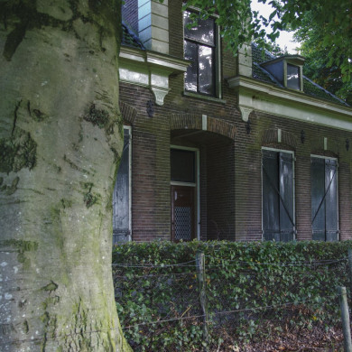 Rijksdienst voor het Cultureel Erfgoed: Jong, Nanette de