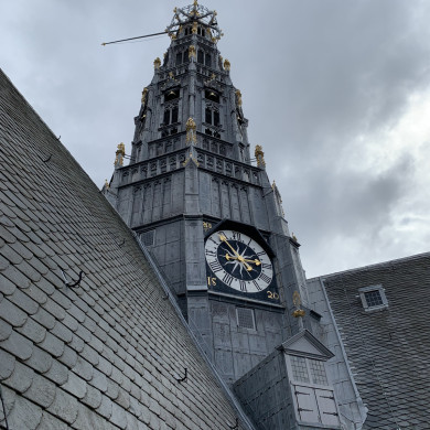 Rijksdienst voor het Cultureel Erfgoed: Bogers, Guido