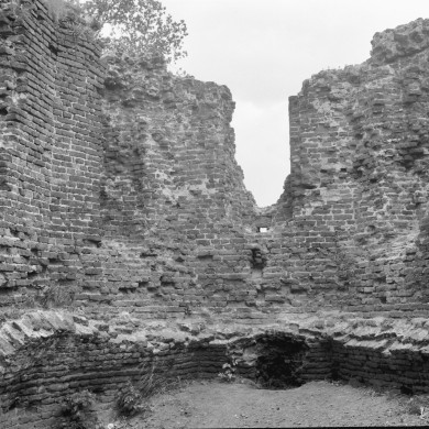 Rijksdienst voor het Cultureel Erfgoed: Delemarre, G.Th.