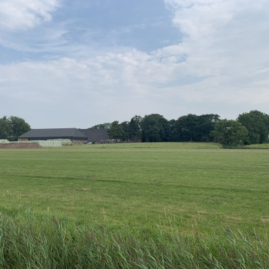 Rijksdienst voor het Cultureel Erfgoed: Bogers, Guido