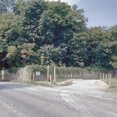 Rijksdienst voor het Cultureel Erfgoed: Galen, P. van