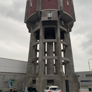 Rijksdienst voor het Cultureel Erfgoed: Bogers, Guido