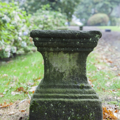 Rijksdienst voor het Cultureel Erfgoed: Sar, Wouter van der