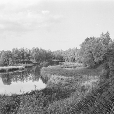 Rijksdienst voor het Cultureel Erfgoed: Tangel, L.M.