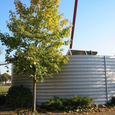 Rijksdienst voor het Cultureel Erfgoed: Terpstra, Frank
