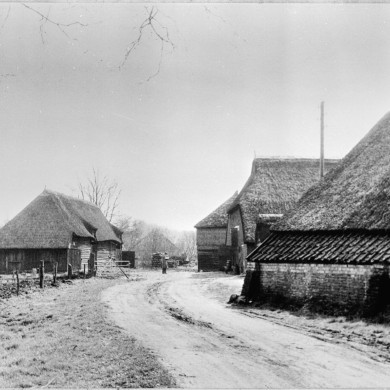Rijksdienst voor het Cultureel Erfgoed: PROVINCIAAL MUSEUM DRENTE