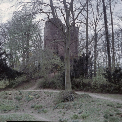 Rijksdienst voor het Cultureel Erfgoed