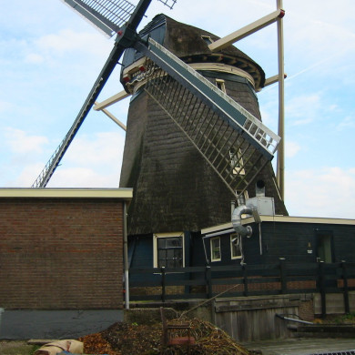 Rijksdienst voor het Cultureel Erfgoed: Terpstra, Frank