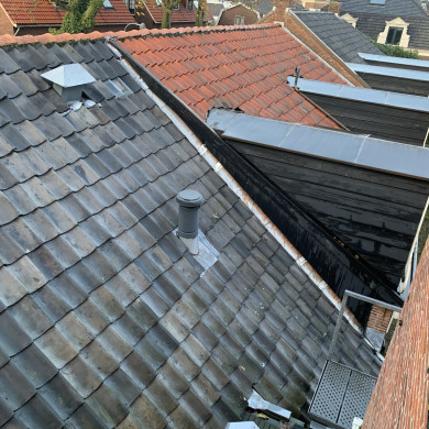 Rijksdienst voor het Cultureel Erfgoed: Bogers, Guido