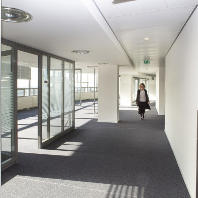 Rijksdienst voor het Cultureel Erfgoed: Steen, Monique van der