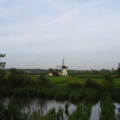 Rijksdienst voor het Cultureel Erfgoed: Terpstra, Frank