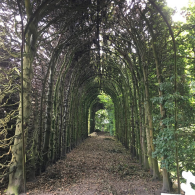 Rijksdienst voor het Cultureel Erfgoed: Wal, Henry van der