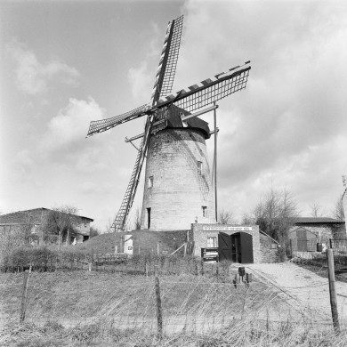 Rijksdienst voor het Cultureel Erfgoed: Galen, P. (Paul) van
