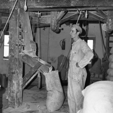 Rijksdienst voor het Cultureel Erfgoed: Korpershoek, W.A.