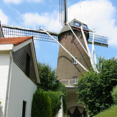 Rijksdienst voor het Cultureel Erfgoed: Terpstra, Frank