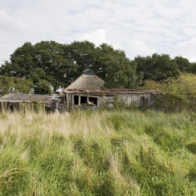 Rijksdienst voor het Cultureel Erfgoed