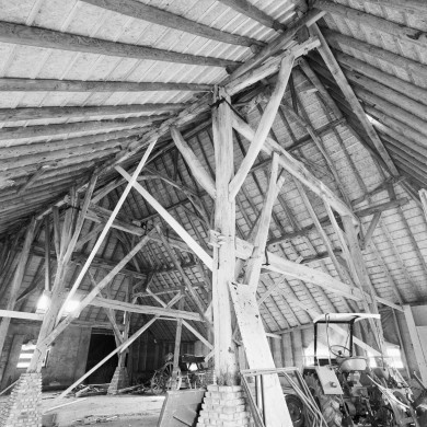 Rijksdienst voor het Cultureel Erfgoed: Heins, IJ.Th.