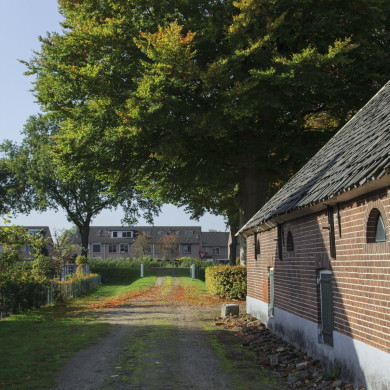 Rijksdienst voor het Cultureel Erfgoed: Jong, Nanette de