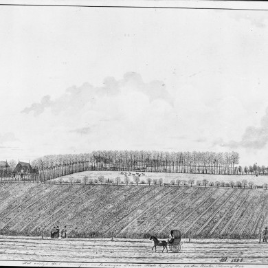 Rijksdienst voor het Cultureel Erfgoed: Wal, A.J. van der