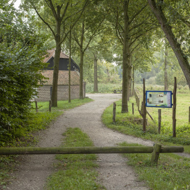 Rijksdienst voor het Cultureel Erfgoed: Buthker, Luc