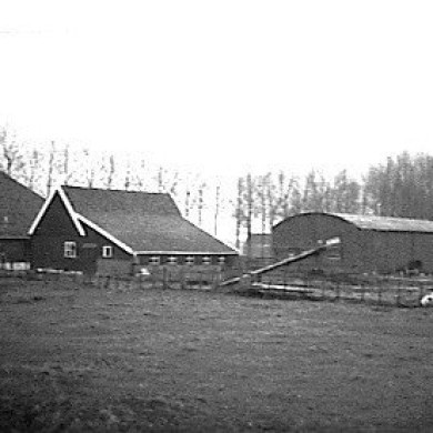 Rijksdienst voor het Cultureel Erfgoed: Philippona, N.