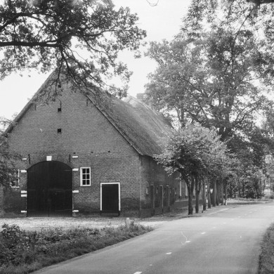 Rijksdienst voor het Cultureel Erfgoed: Schellekens, P.C.