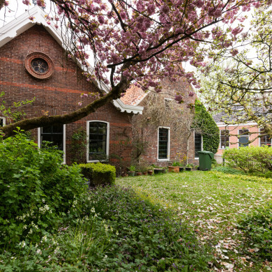 Rijksdienst voor het Cultureel Erfgoed: Sekuur, Mark