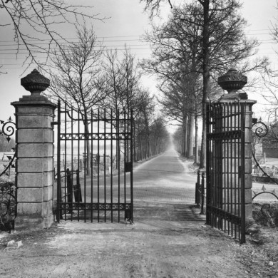 Rijksdienst voor het Cultureel Erfgoed: Delemarre, G.Th.