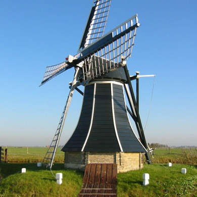 Rijksdienst voor het Cultureel Erfgoed: Terpstra, Frank