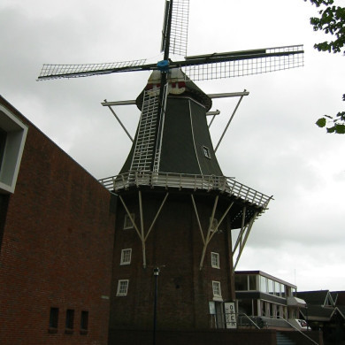 Rijksdienst voor het Cultureel Erfgoed: Terpstra, Frank