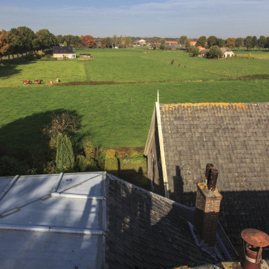 Rijksdienst voor het Cultureel Erfgoed: Jong, Nanette de