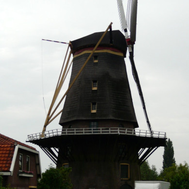 Rijksdienst voor het Cultureel Erfgoed: Bogers, Guido