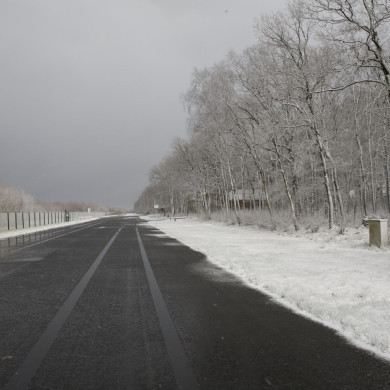 Rijksdienst voor het Cultureel Erfgoed: Booms, C.S. (Chris)-Roderburg, K. (Kris)