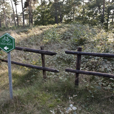 Rijksdienst voor het Cultureel Erfgoed