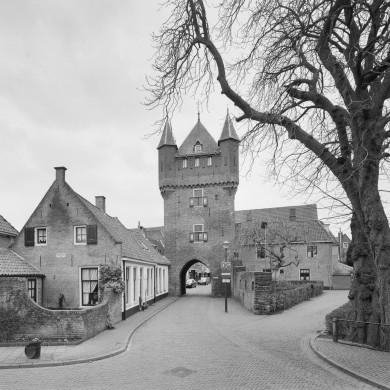 Rijksdienst voor het Cultureel Erfgoed: Koning, J.P. de