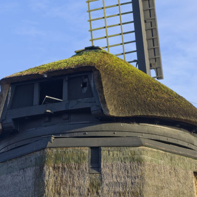 Rijksdienst voor het Cultureel Erfgoed: Galen, Jan van