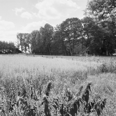 Rijksdienst voor het Cultureel Erfgoed: Galen, P. van