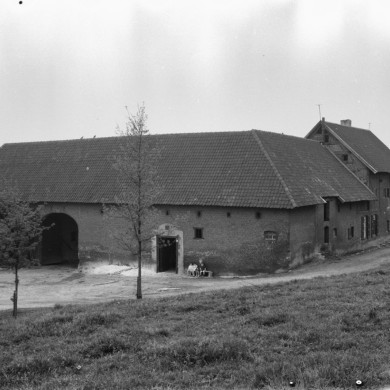 Rijksdienst voor het Cultureel Erfgoed: Delemarre, G.Th.