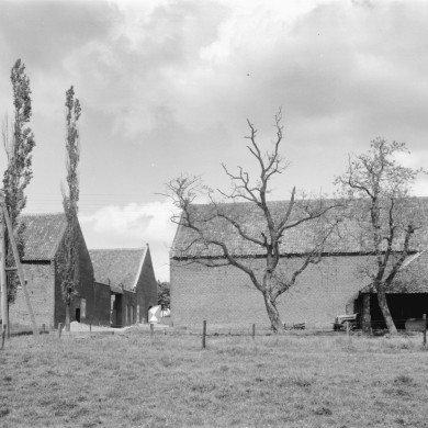 Rijksdienst voor het Cultureel Erfgoed: Delemarre, G.Th.