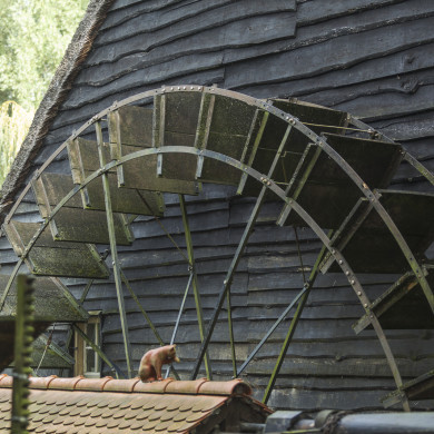 Rijksdienst voor het Cultureel Erfgoed: Buthker, Luc