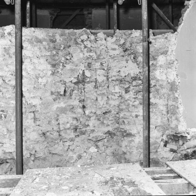 Rijksdienst voor het Cultureel Erfgoed: Delemarre, G.Th.