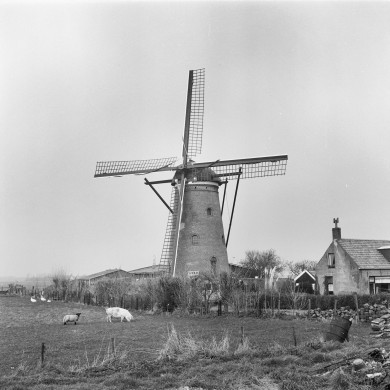 Rijksdienst voor het Cultureel Erfgoed: Korpershoek, W.A.