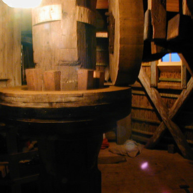 Rijksdienst voor het Cultureel Erfgoed: Terpstra, Frank