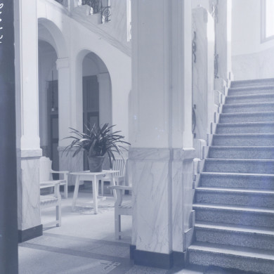 Rijksdienst voor het Cultureel Erfgoed: Brinio