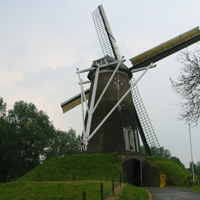 Rijksdienst voor het Cultureel Erfgoed: Terpstra, Frank